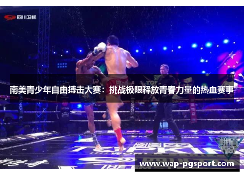 南美青少年自由搏击大赛：挑战极限释放青春力量的热血赛事