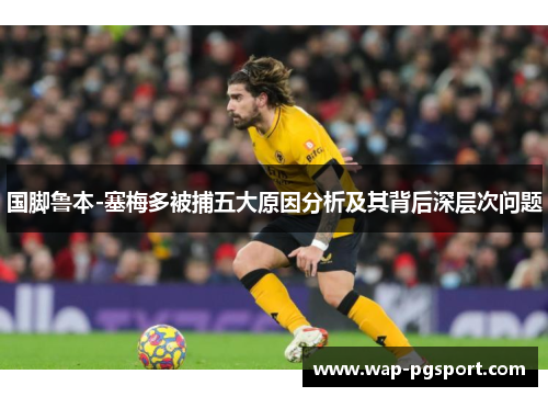 国脚鲁本-塞梅多被捕五大原因分析及其背后深层次问题