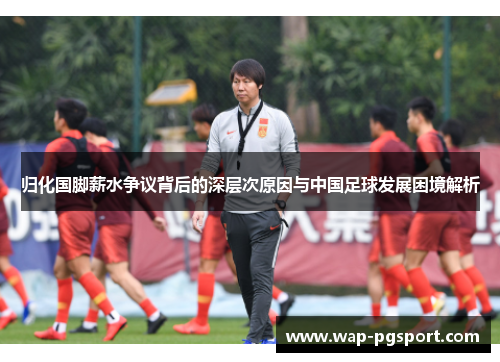 归化国脚薪水争议背后的深层次原因与中国足球发展困境解析