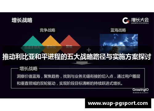 推动利比亚和平进程的五大战略路径与实施方案探讨