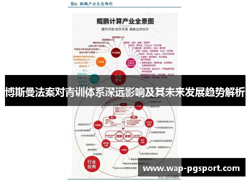 博斯曼法案对青训体系深远影响及其未来发展趋势解析