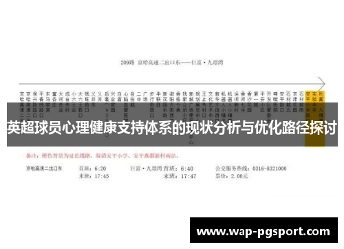 英超球员心理健康支持体系的现状分析与优化路径探讨