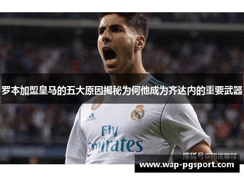 罗本加盟皇马的五大原因揭秘为何他成为齐达内的重要武器