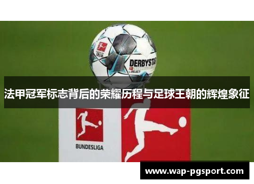 法甲冠军标志背后的荣耀历程与足球王朝的辉煌象征