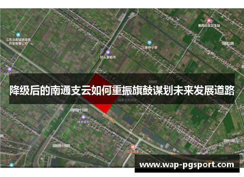 降级后的南通支云如何重振旗鼓谋划未来发展道路