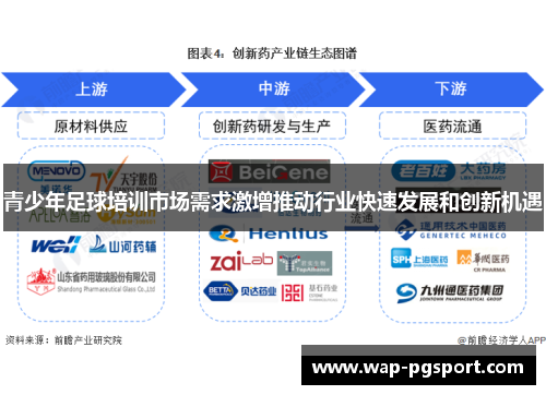 青少年足球培训市场需求激增推动行业快速发展和创新机遇 青少年足球培训市场需求激增推动行业快速发展和创新机遇