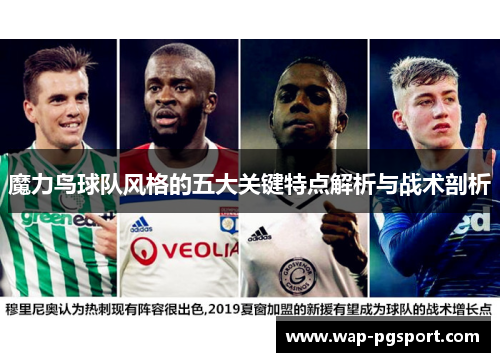 魔力鸟球队风格的五大关键特点解析与战术剖析 魔力鸟球队风格的五大关键特点解析与战术剖析